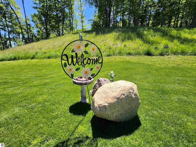 6238 E Gallivan Rd, Cedar, MI 49621 - exterior view