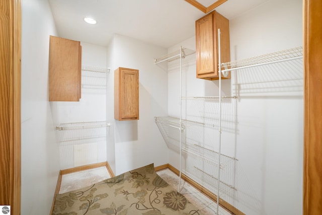 10745 W Remick Rd, Blanchard, MI 49310 - view of spacious closet