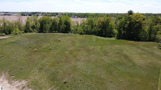 10745 W Remick Rd, Blanchard, MI 49310 - aerial view of property and surrounding area