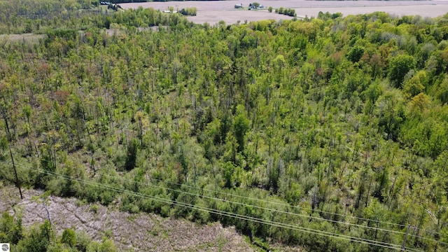 10745 W Remick Rd, Blanchard, MI 49310 - aerial view of a forest