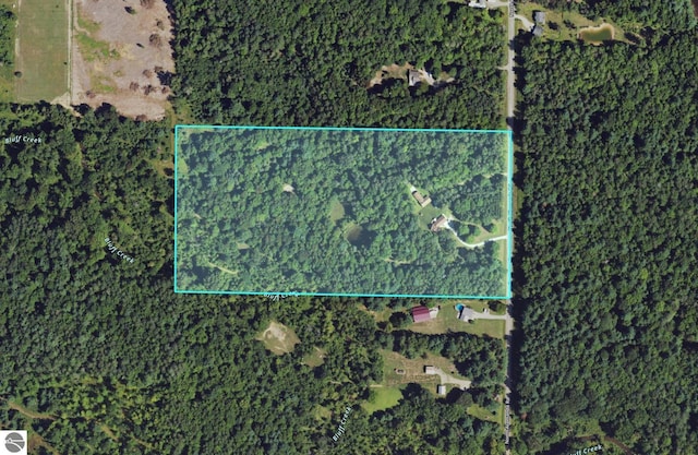 4809 N Alamando Rd, Coleman, MI 48618 - map / location