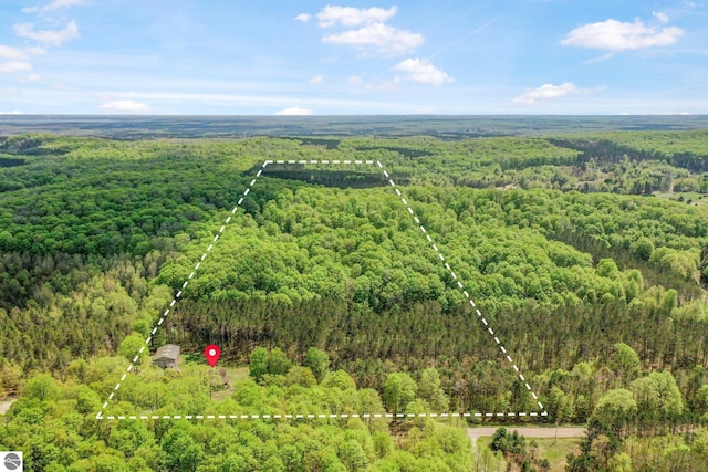 2460 E 26th Rd, Cadillac, MI 49601 - aerial overview of property's location with a heavily wooded area and property parcel outlined