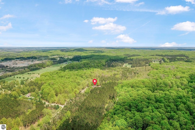 2460 E 26th Rd, Cadillac, MI 49601 - drone / aerial view of a forest