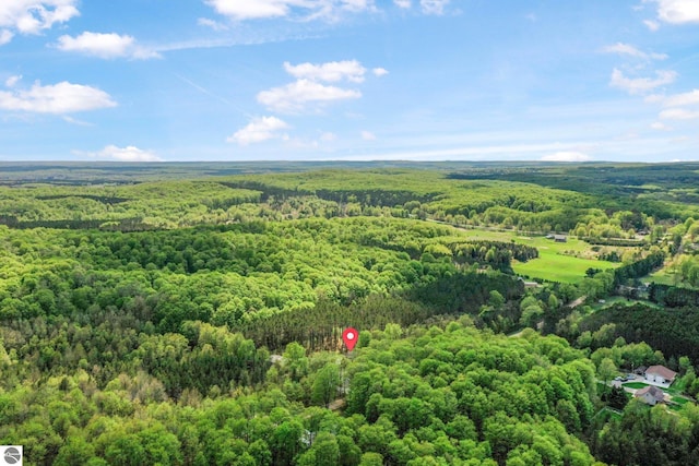 2460 E 26th Rd, Cadillac, MI 49601 - aerial view of a heavily wooded area