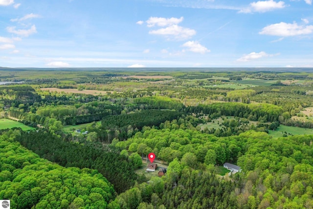 2460 E 26th Rd, Cadillac, MI 49601 - bird's eye view of a forest