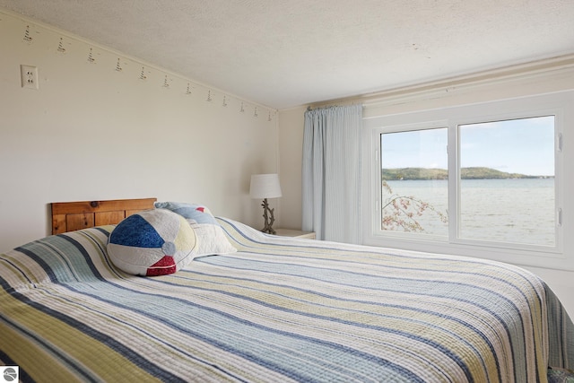 5434 W Macfarlane Rd, Glen Arbor, MI 49636 - bedroom with a water view and a textured ceiling
