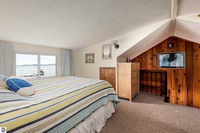 5434 W Macfarlane Rd, Glen Arbor, MI 49636 - bedroom featuring lofted ceiling, a water view, carpet, and wood walls