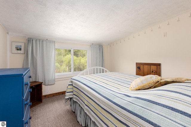 5434 W Macfarlane Rd, Glen Arbor, MI 49636 - carpeted bedroom featuring a textured ceiling and baseboards