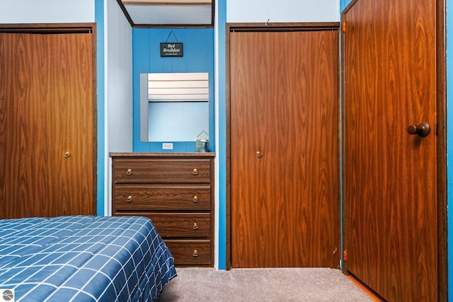 1912 Rosenburg Rd, Kalkaska, MI 49646 - carpeted bedroom featuring a closet