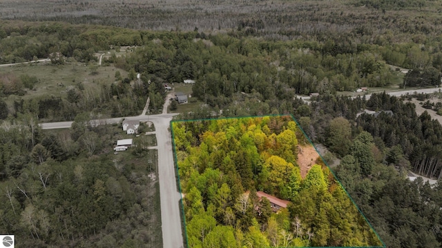1912 Rosenburg Rd, Kalkaska, MI 49646 - view of property location with a heavily wooded area and property boundaries highlighted
