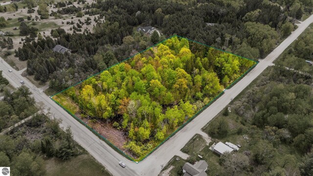 1912 Rosenburg Rd, Kalkaska, MI 49646 - view of property location with a forest and property parcel outlined