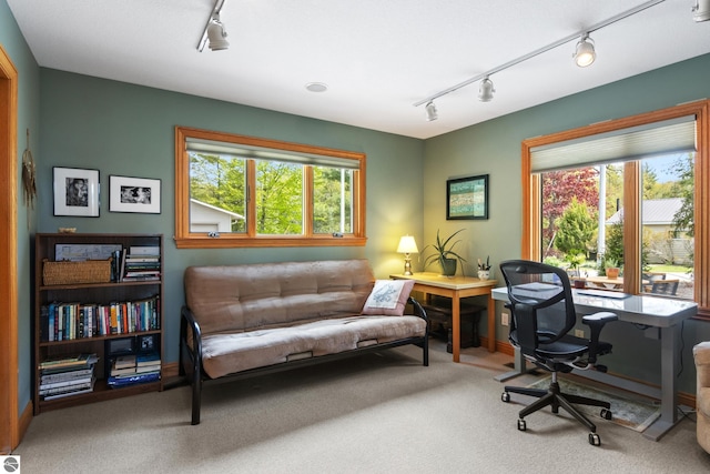 11896 Cabana Shores Rd, Williamsburg, MI 49690 - carpeted home office featuring track lighting