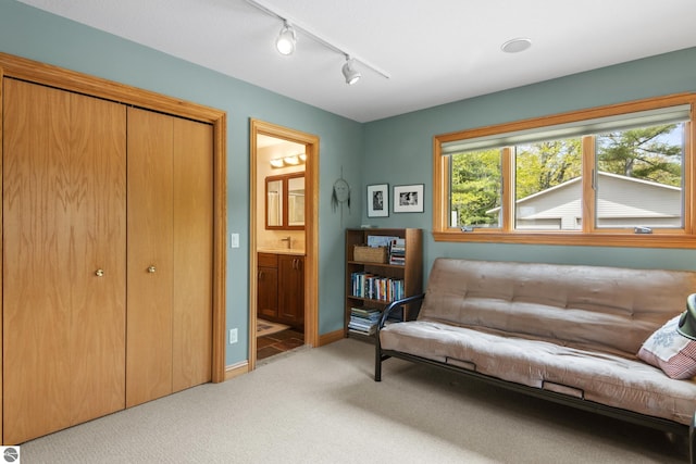 11896 Cabana Shores Rd, Williamsburg, MI 49690 - sitting room with light carpet, rail lighting, and baseboards