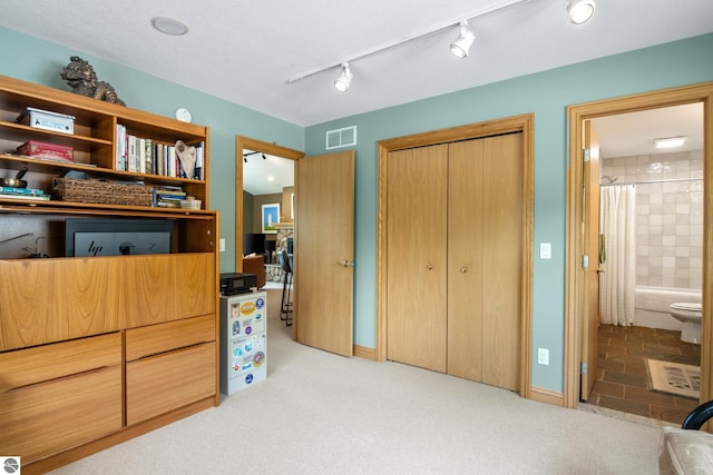 11896 Cabana Shores Rd, Williamsburg, MI 49690 - bedroom featuring a closet, ensuite bathroom, and rail lighting