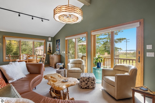 11896 Cabana Shores Rd, Williamsburg, MI 49690 - carpeted living room with rail lighting, vaulted ceiling, healthy amount of natural light, and baseboards