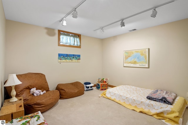 11896 Cabana Shores Rd, Williamsburg, MI 49690 - carpeted bedroom featuring rail lighting