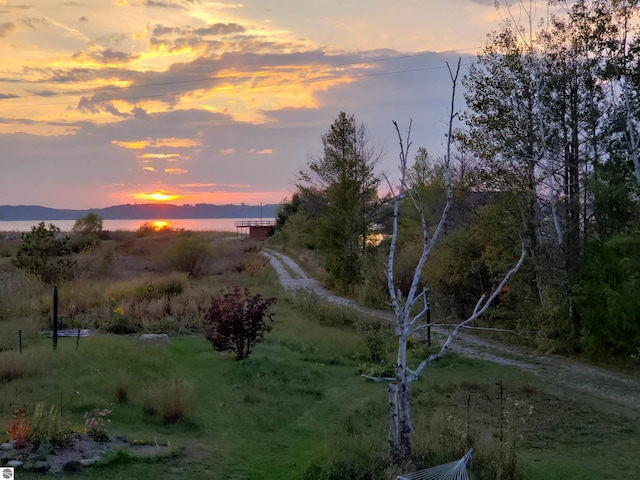 11896 Cabana Shores Rd, Williamsburg, MI 49690 - view of yard at dusk