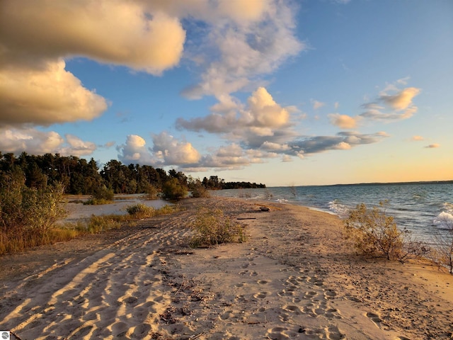 11896 Cabana Shores Rd, Williamsburg, MI 49690 - water view featuring local beach