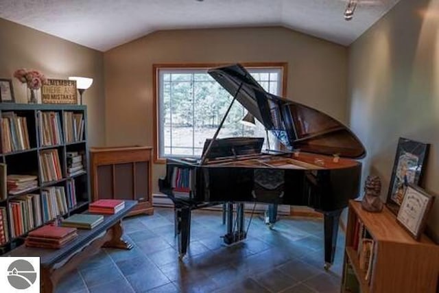 2401 J Maddy Pkwy, Interlochen, MI 49643 - sitting room featuring vaulted ceiling