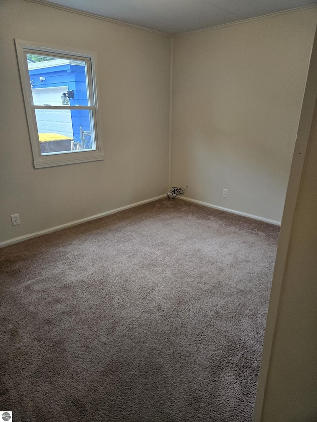 1023 S Elizabeth St, Mount Pleasant, MI 48858 - spare room featuring ornamental molding, carpet floors, and baseboards