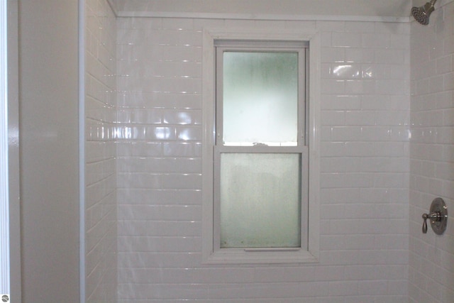 1023 S Elizabeth St, Mount Pleasant, MI 48858 - bathroom view of tiled shower