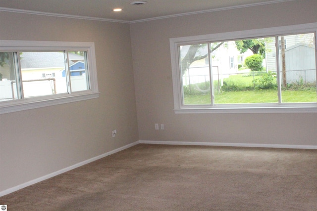 1023 S Elizabeth St, Mount Pleasant, MI 48858 - unfurnished room featuring plenty of natural light, carpet flooring, crown molding, and baseboards