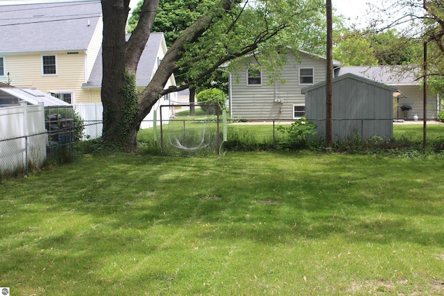 1023 S Elizabeth St, Mount Pleasant, MI 48858 - view of yard