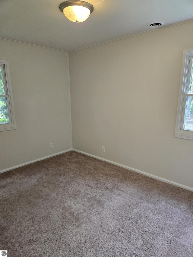 1023 S Elizabeth St, Mount Pleasant, MI 48858 - unfurnished room featuring healthy amount of natural light, carpet, crown molding, and baseboards