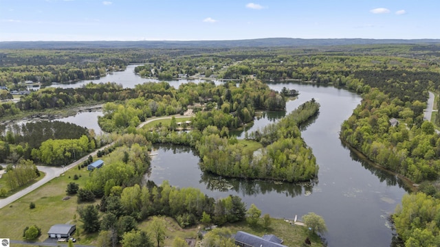 11285 Lakeshore Dr, Buckley, MI 49620 - aerial view of property and surrounding area with a forest and a nearby body of water