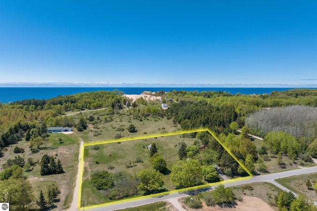 906 Michigan Ave, Frankfort, MI 49635 - aerial view of property and surrounding area with property parcel outlined and a large body of water