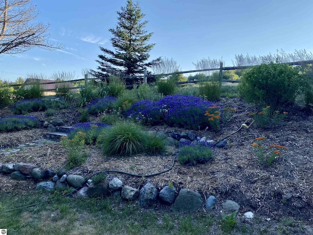 906 Michigan Ave, Frankfort, MI 49635 - view of yard