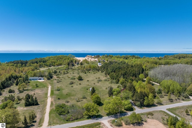 906 Michigan Ave, Frankfort, MI 49635 - view of property location featuring a large body of water