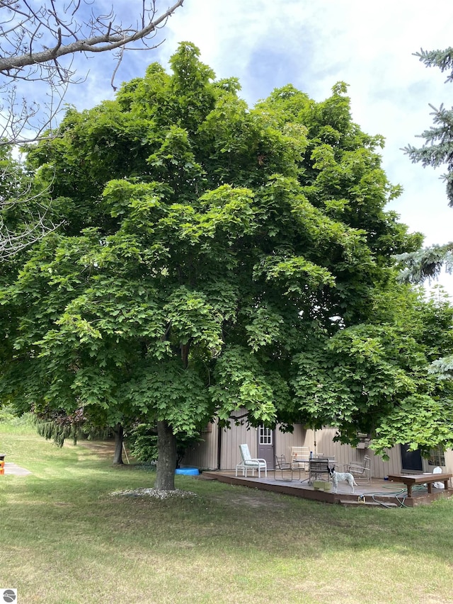 906 Michigan Ave, Frankfort, MI 49635 - view of green lawn with a wooden deck