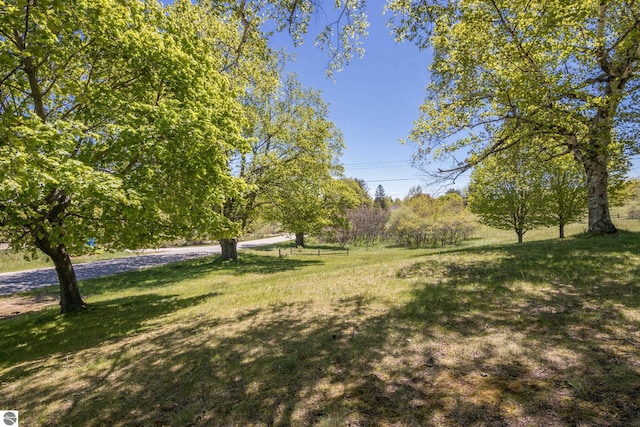 906 Michigan Ave, Frankfort, MI 49635 - view of grassy yard