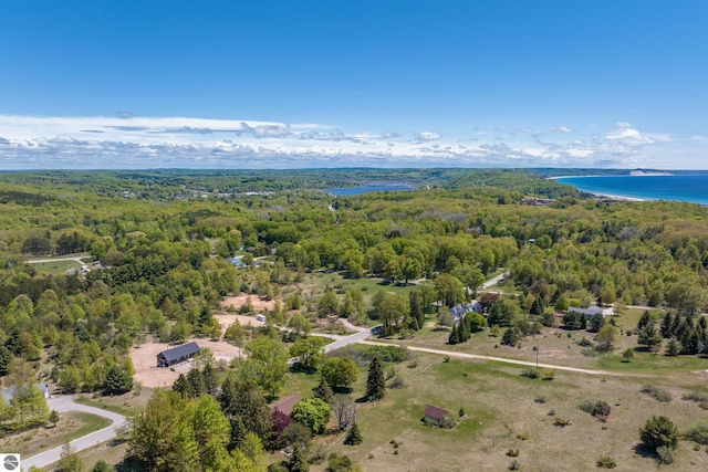 906 Michigan Ave, Frankfort, MI 49635 - drone / aerial view of a heavily wooded area and a nearby body of water