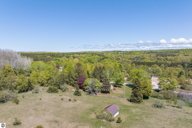 906 Michigan Ave, Frankfort, MI 49635 - bird's eye view of a forest