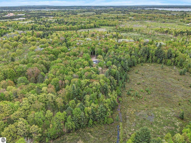 6313 E 34 1/2 Rd, Cadillac, MI 49601 - aerial overview of property's location featuring a heavily wooded area and a nearby body of water
