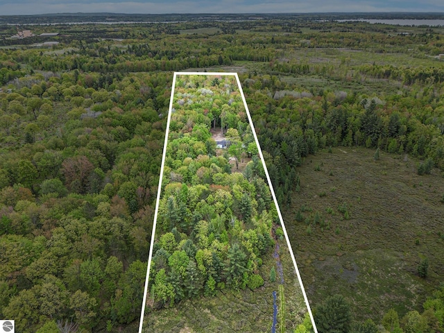 6313 E 34 1/2 Rd, Cadillac, MI 49601 - view of property location with a forest and property parcel outlined