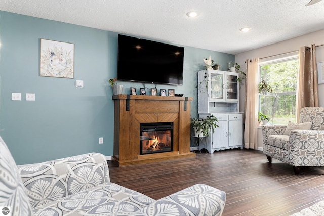 6313 E 34 1/2 Rd, Cadillac, MI 49601 - living room with a textured ceiling, wood finished floors, a glass covered fireplace, baseboards, and recessed lighting