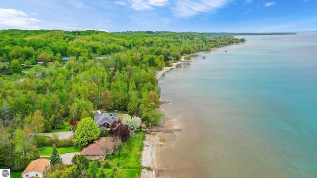 6853 S W Bay Shore Dr, Traverse City, MI 49684 - drone / aerial view of a heavily wooded area and a large body of water