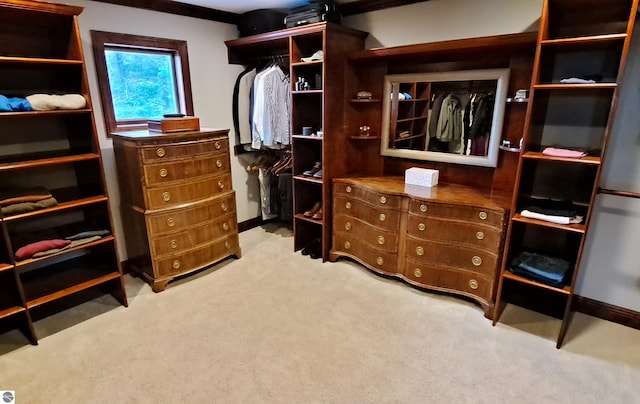 6853 S W Bay Shore Dr, Traverse City, MI 49684 - walk in closet with carpet flooring