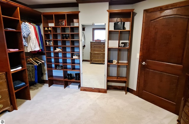 6853 S W Bay Shore Dr, Traverse City, MI 49684 - walk in closet featuring carpet floors