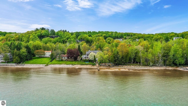 6853 S W Bay Shore Dr, Traverse City, MI 49684 - water view with a heavily wooded area