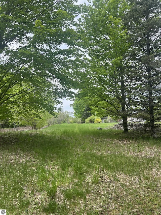 8713 Kingsley Rd, Kingsley, MI 49649 - view of yard