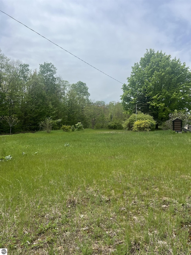 8713 Kingsley Rd, Kingsley, MI 49649 - view of yard