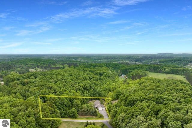 5151 Hidden Gables Dr, Traverse City, MI 49684 - aerial overview of property's location featuring a heavily wooded area and property boundaries highlighted