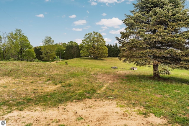 9170 Townline Rd, Kingsley, MI 49649 - view of yard