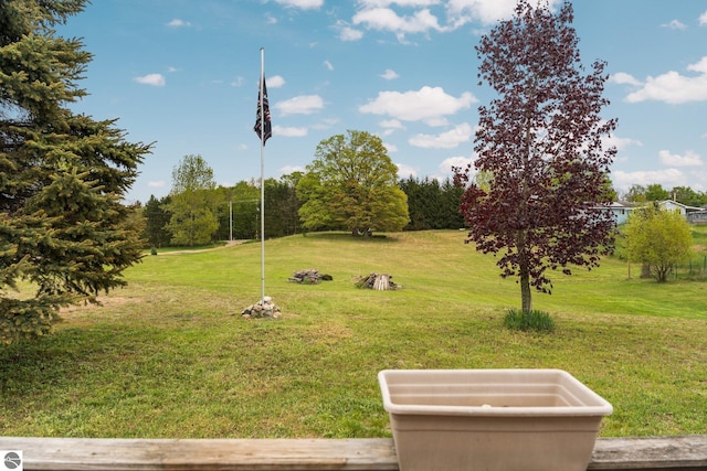 9170 Townline Rd, Kingsley, MI 49649 - view of green lawn