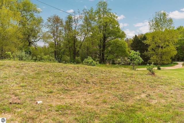 9170 Townline Rd, Kingsley, MI 49649 - view of yard