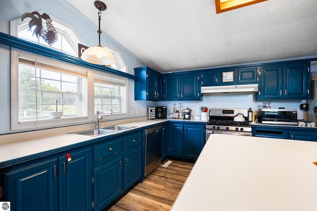 9170 Townline Rd, Kingsley, MI 49649 - kitchen with appliances with stainless steel finishes, a sink, blue cabinets, wood finished floors, and a textured ceiling